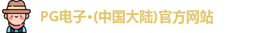 pg电子官方网站
